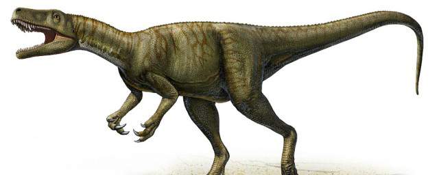 白垩纪晚期有哪些恐龙 白垩纪晚期恐龙有哪些